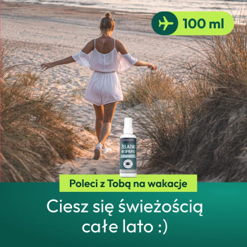 Laboratorium Pani Domu – Żelazko w spray’u perfumowane 500ml