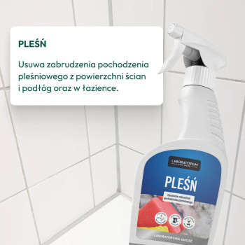 D-LUX Płyn do Pleśni 500 ml