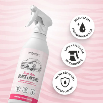Laboratorium Pani Domu Twoje Auto BLASK LAKIERU 500ml