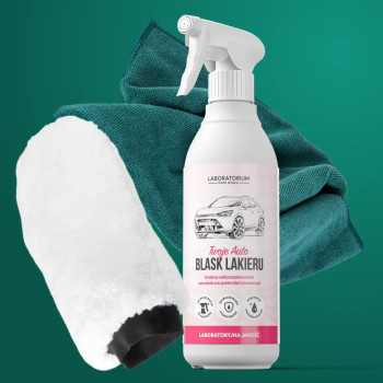 Zestaw Twoje Auto Blask Lakieru z rabatem